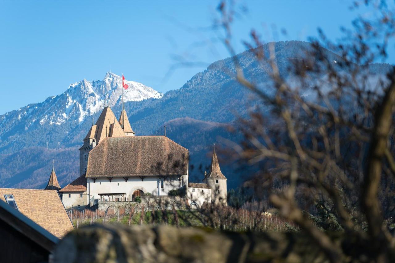 Furnished Apartments&Studios - Swiss Resort Aigle Exterior foto
